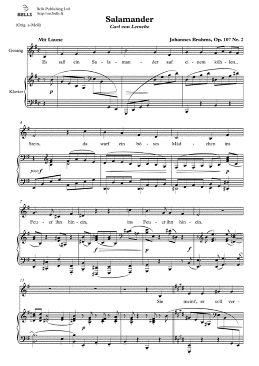 Salamander, Op. 107 No. 2 (E minor)