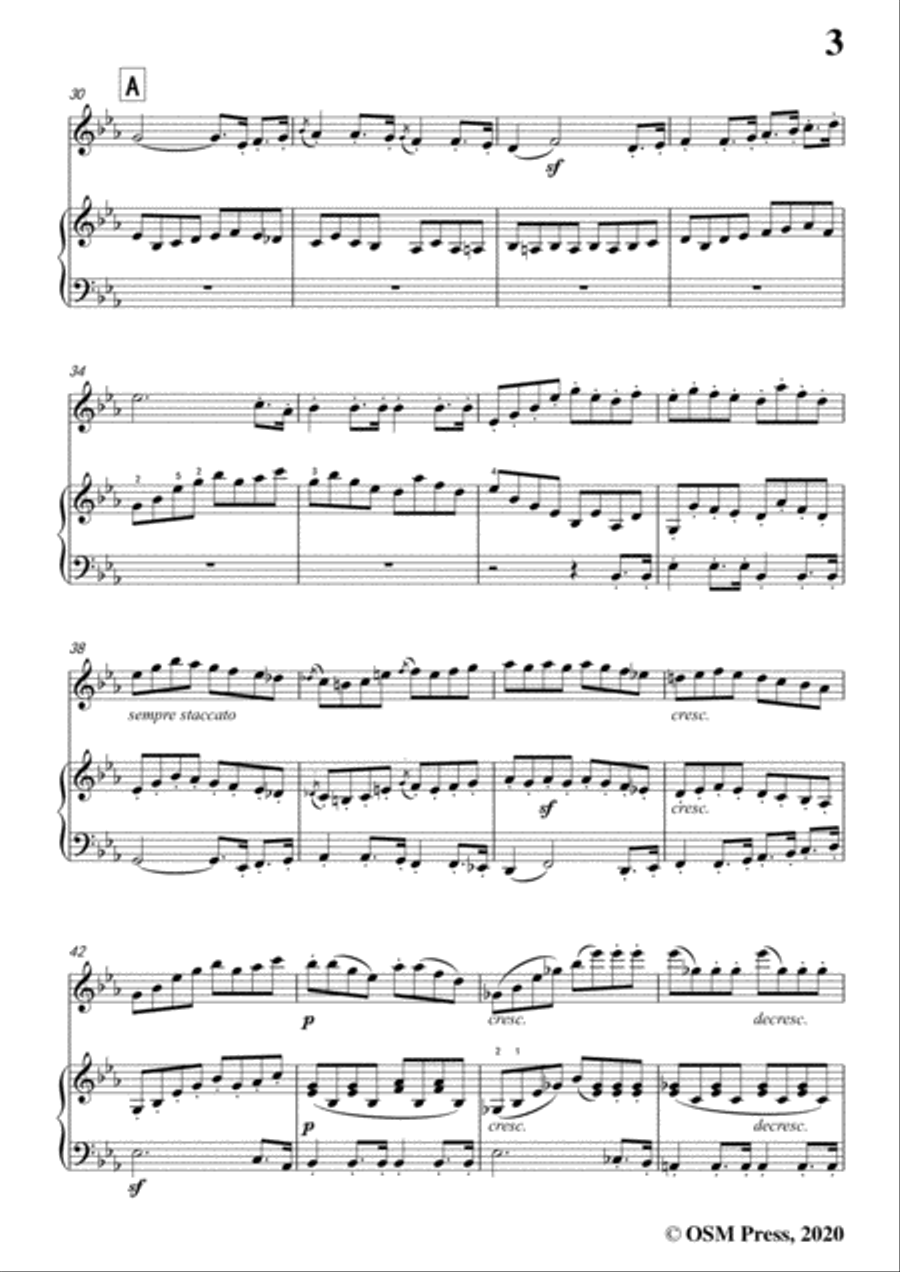 Beethoven-Violin Sonata No.7 in c minor,Op.30 No.2,for Violin and Piano Violin Solo scores gallery preview page 5