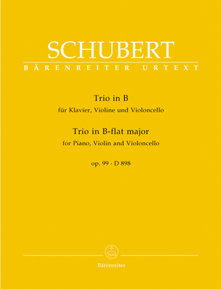 Book cover for Piano Trio In Bb Major, D 898