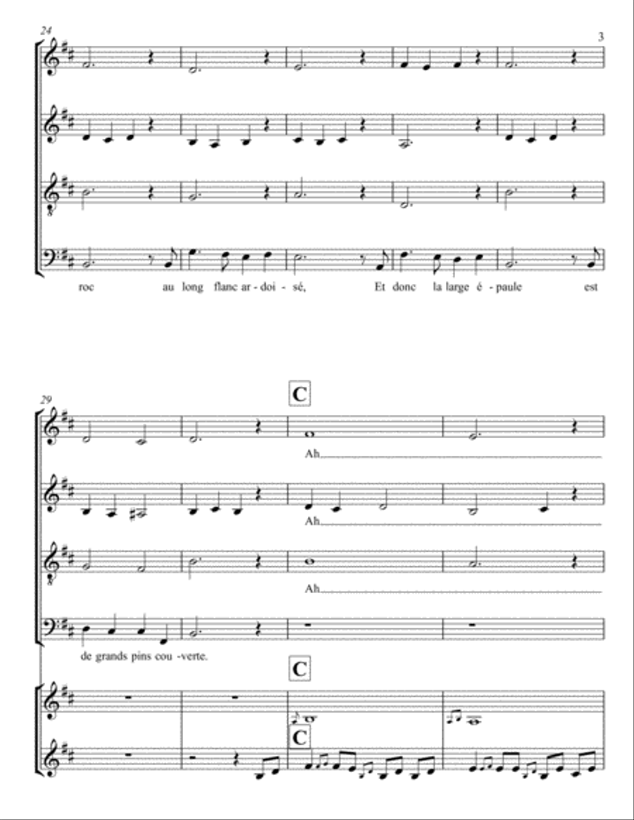 LES OISEAUX DE NEIGE - Spencer Wood Small Ensemble scores gallery preview page 3