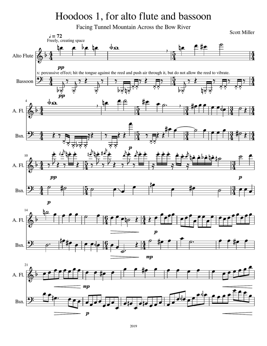 Hoodoos 1, for alto flute and bassoon Woodwind Duet scores gallery preview page 1