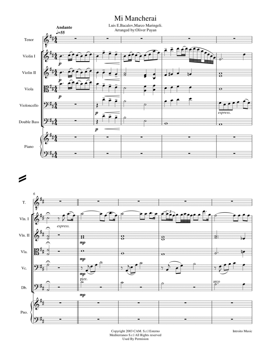 Mi Mancherai Chamber Orchestra scores gallery preview page 1