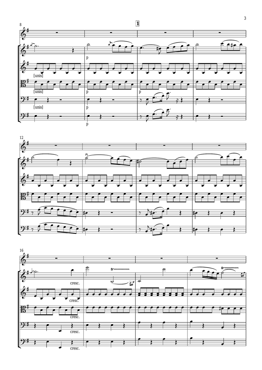 Mercadante - Concerto in Eminor for Flute and String Orchestra Chamber Orchestra scores gallery preview page 3