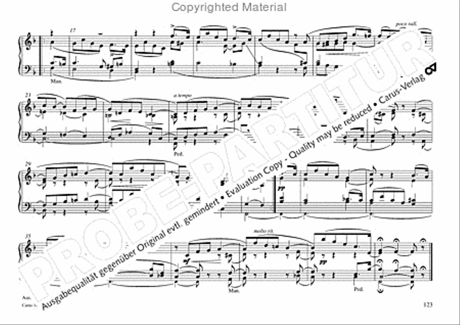 Freiburger Orgelbuch: Stammteil Organ Solo scores gallery preview page 124