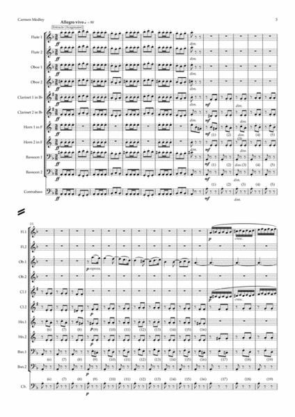 Bizet: A Carmen Medley - symphonic wind image number null
