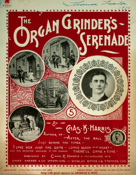 The Organ Grinder's Serenade