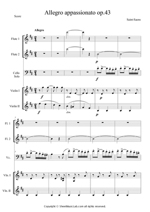 Book cover for Allegro appassionato for Cello and Piano in B minor, Op.43