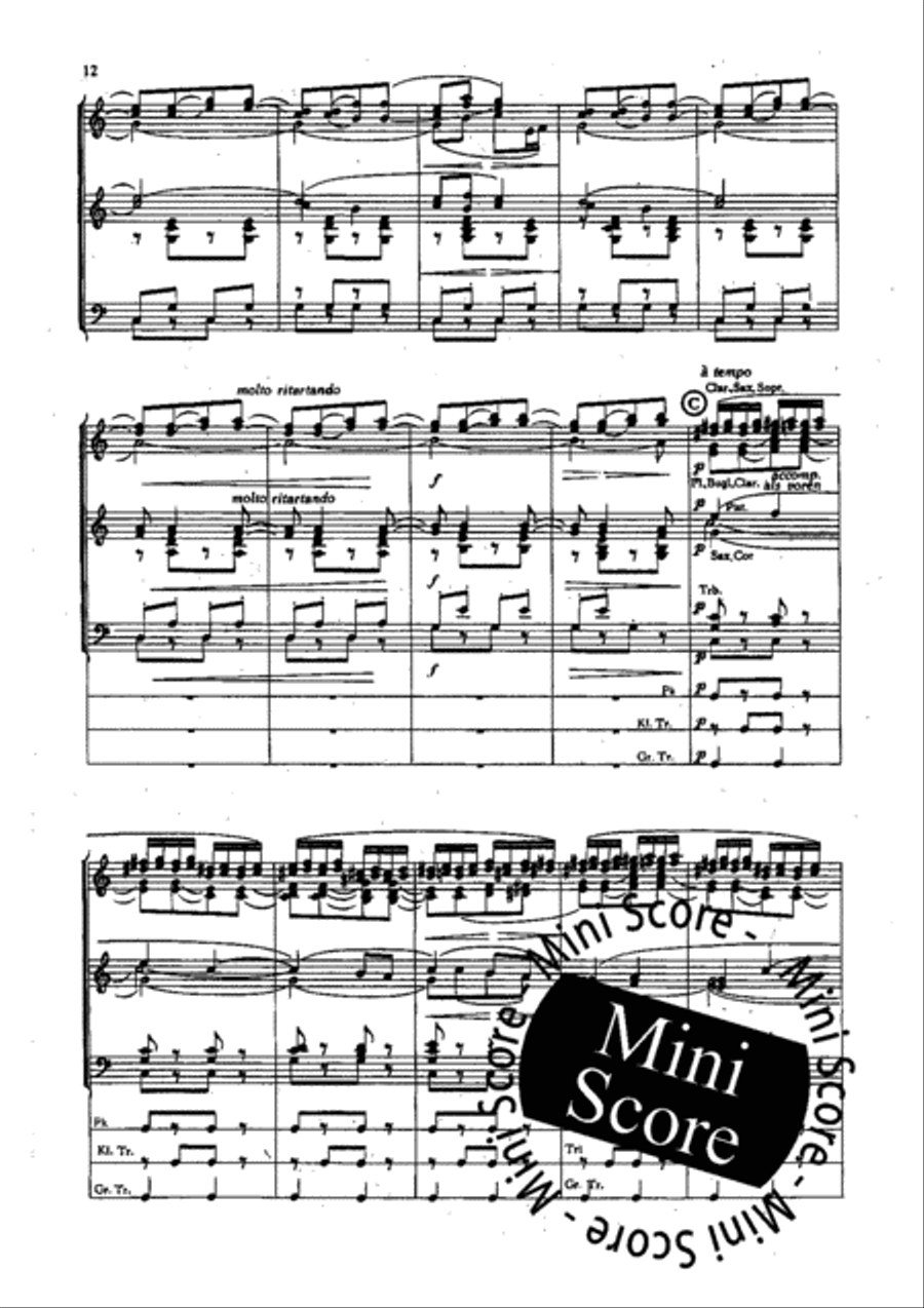 Slavische Dansen no 1,6 en 8 Fanfare Band scores gallery preview page 14