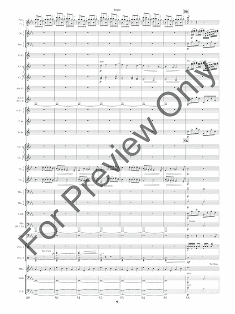 Flight (Score) Concert Band scores gallery preview page 12