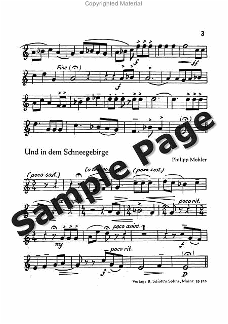 Mohler Ph Festliche Liedkantate Op37(dsb TTBB scores gallery preview page 12
