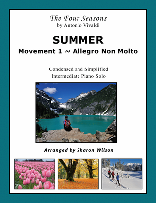 Book cover for SUMMER: Movement 1 ~ Allegro Non Molto (from "The Four Seasons" by Vivaldi)