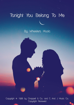 Book cover for Tonight You Belong To Me