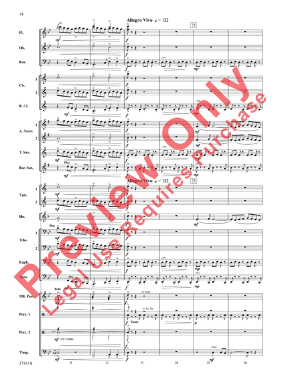 Desperate Pursuit Concert Band scores gallery preview page 15