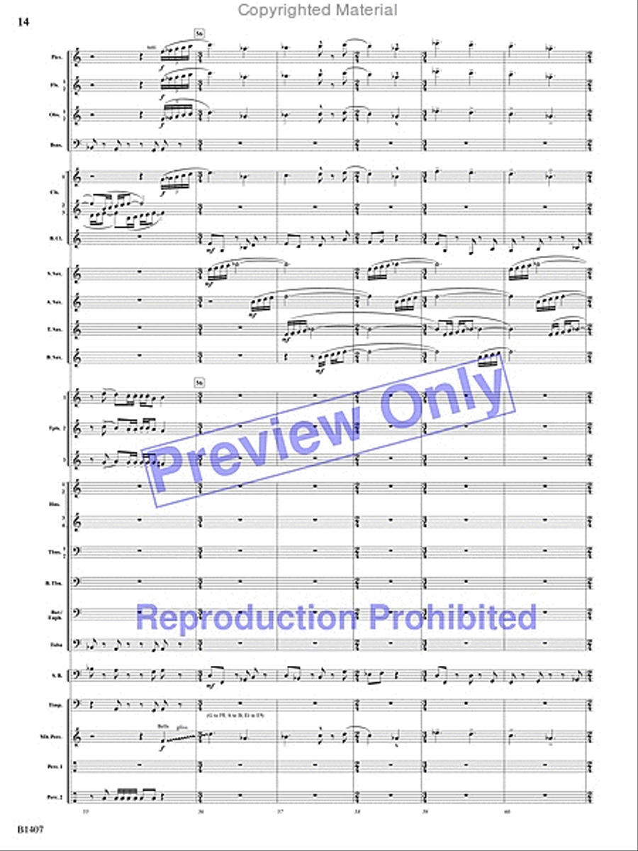 Antiphonal Fanfare Antiphonal Fanfare Concert Band scores gallery preview page 13