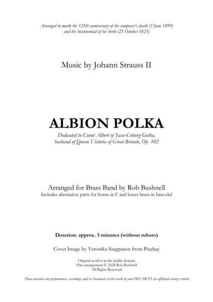 Albion Polka (Strauss II) - Brass Band image number null