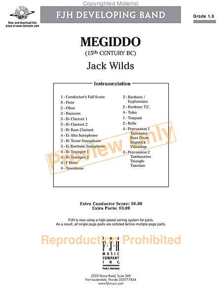 Megiddo image number null
