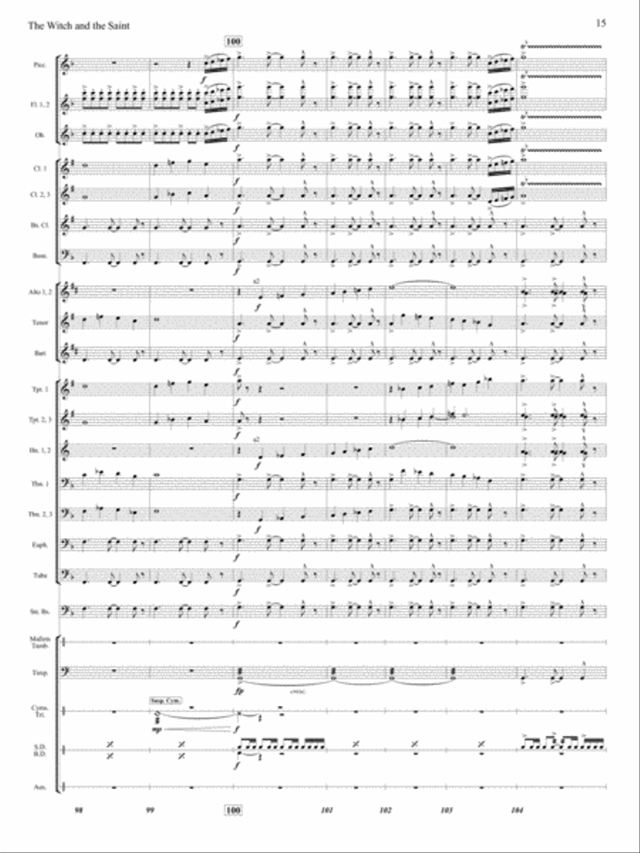 The Witch and The Saint The Witch and The Saint Concert Band scores gallery preview page 14