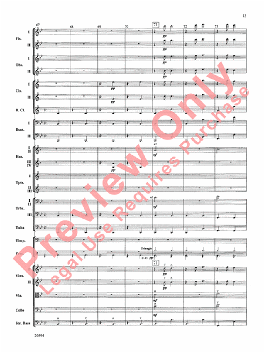 Symphony No. 9 (Fourth Movement) Full Orchestra scores gallery preview page 14