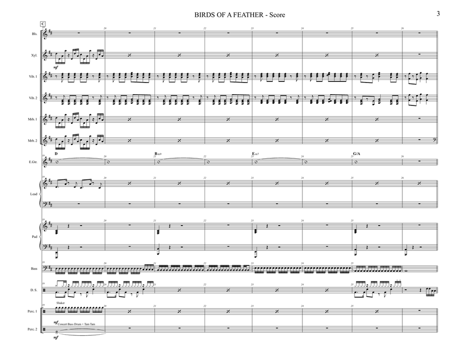 Birds Of A Feather Percussion Ensemble scores gallery preview page 3