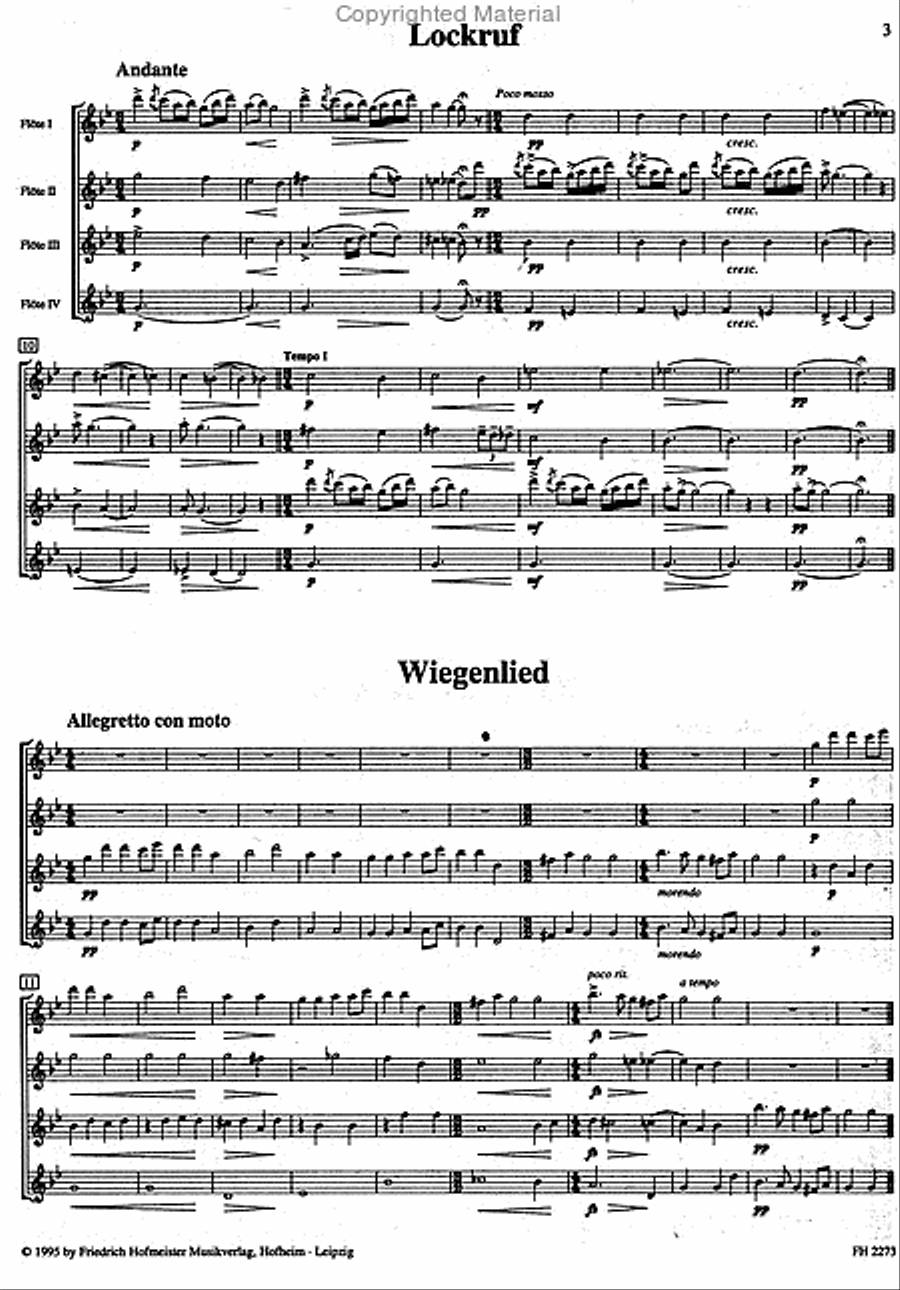 „Kobold und 12 andere Stücke Flute scores gallery preview page 2