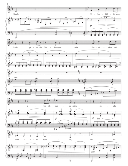 BRAHMS: Die Mainacht, Op. 43 no. 2 (transposed to D major)