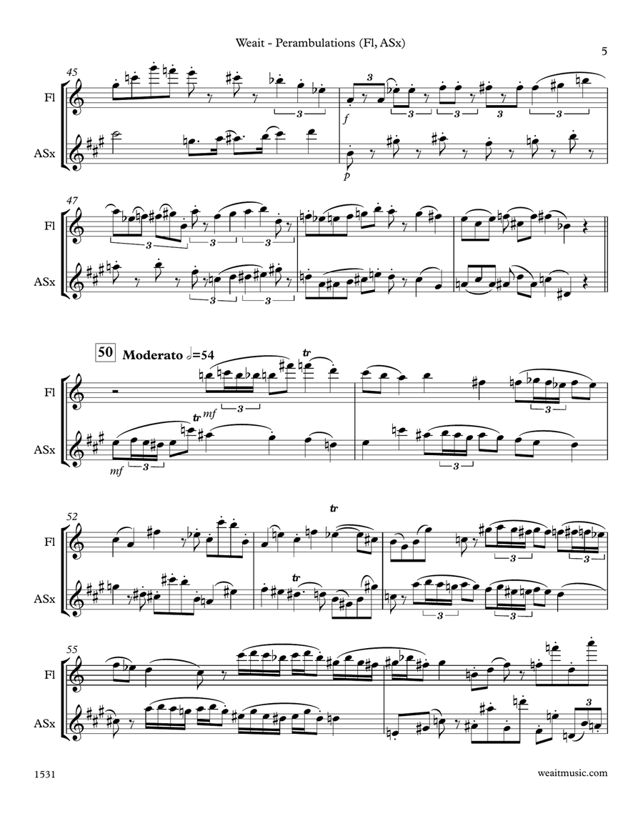 Perambulations for flute & alto saxophone (3’10) Woodwind Duet scores gallery preview page 5