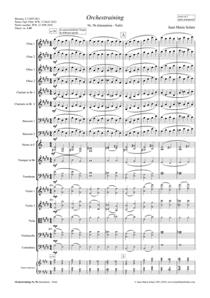 Orchestraining No. 5b [Orchestra]