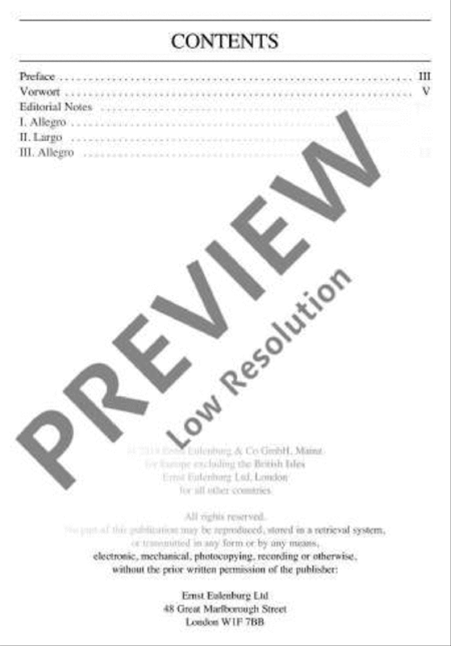 Concerto G minor String Orchestra scores gallery preview page 3