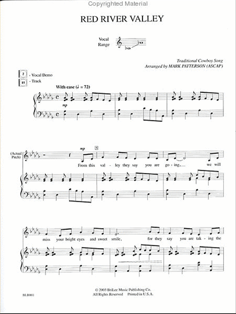Heroes and Vagabonds: Solo Songs for the Male Changing Voice (Book and audio) Voice scores gallery preview page 2