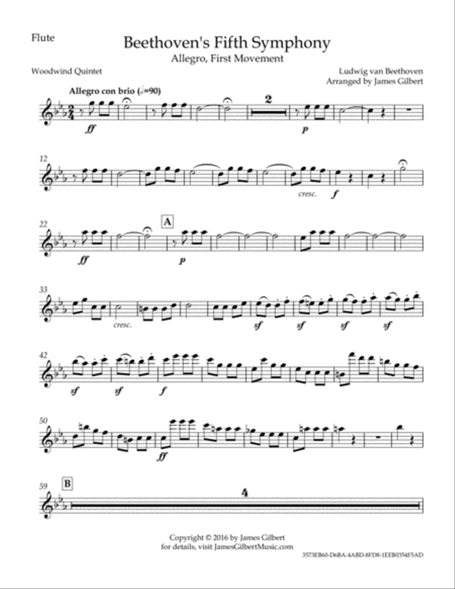 Beethoven's Fifth Symphony, 1st Movement Woodwind Quintet scores gallery preview page 3