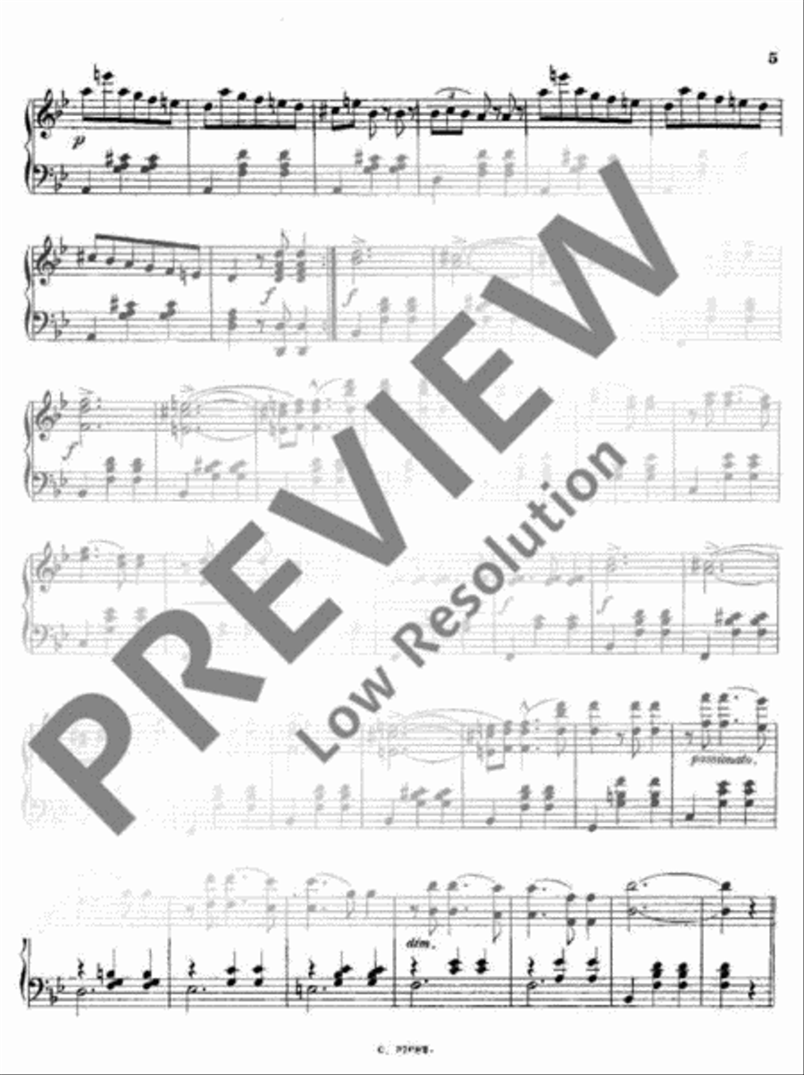 Vogelstimmen Vogelstimmen Piano Solo scores gallery preview page 6