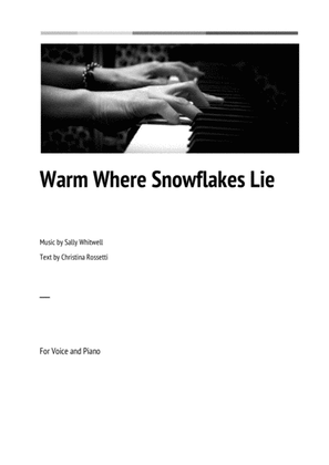 Book cover for Warm Where Snowflakes Lie