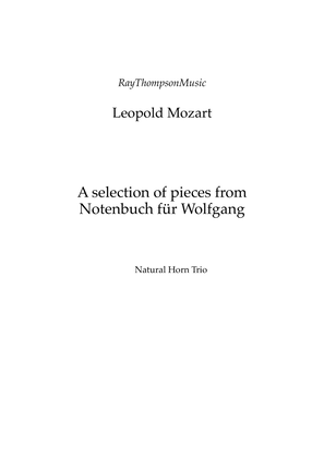 Book cover for Mozart (Leopold): Notenbuch für Wolfgang (A selection of pieces) — natural horn trio
