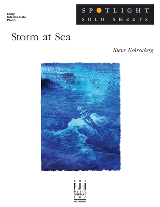 Book cover for Storm at Sea