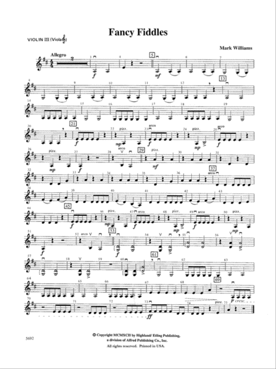 Fancy violin deals