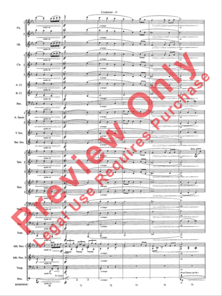 Winter Rhapsody - Cs Winter Rhapsody - Cs Concert Band scores gallery preview page 14