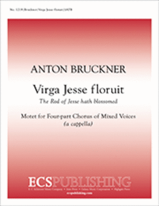 Virga Jesse Floruit (The Rod of Jesse Hath Blossomed)