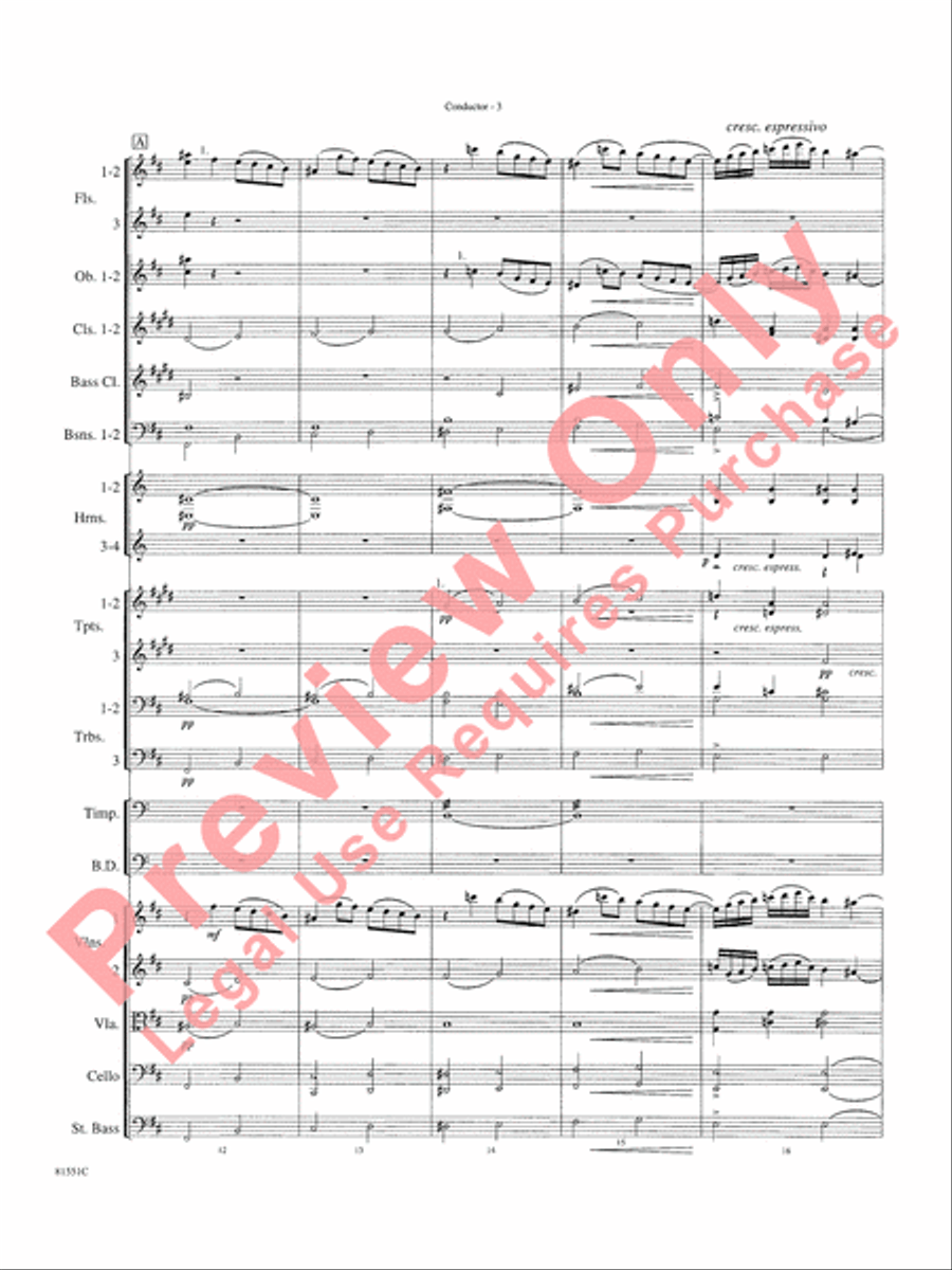 Toccata Full Orchestra scores gallery preview page 6