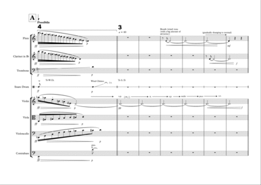 Towards Singularity for an ensemble of 8 instruments Chamber Music scores gallery preview page 5