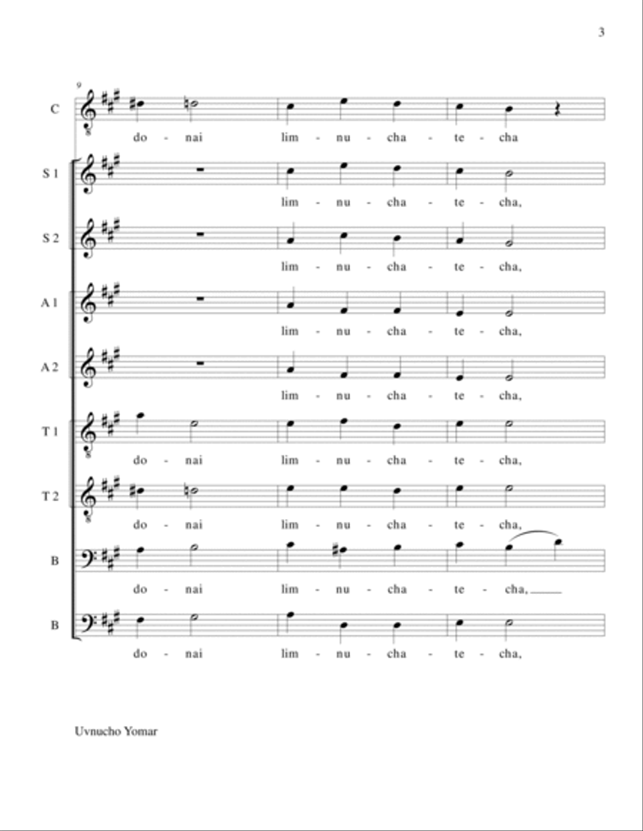Uvnucho Yomar (Lewandowski) Divisi scores gallery preview page 3