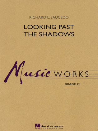Book cover for Looking Past the Shadows
