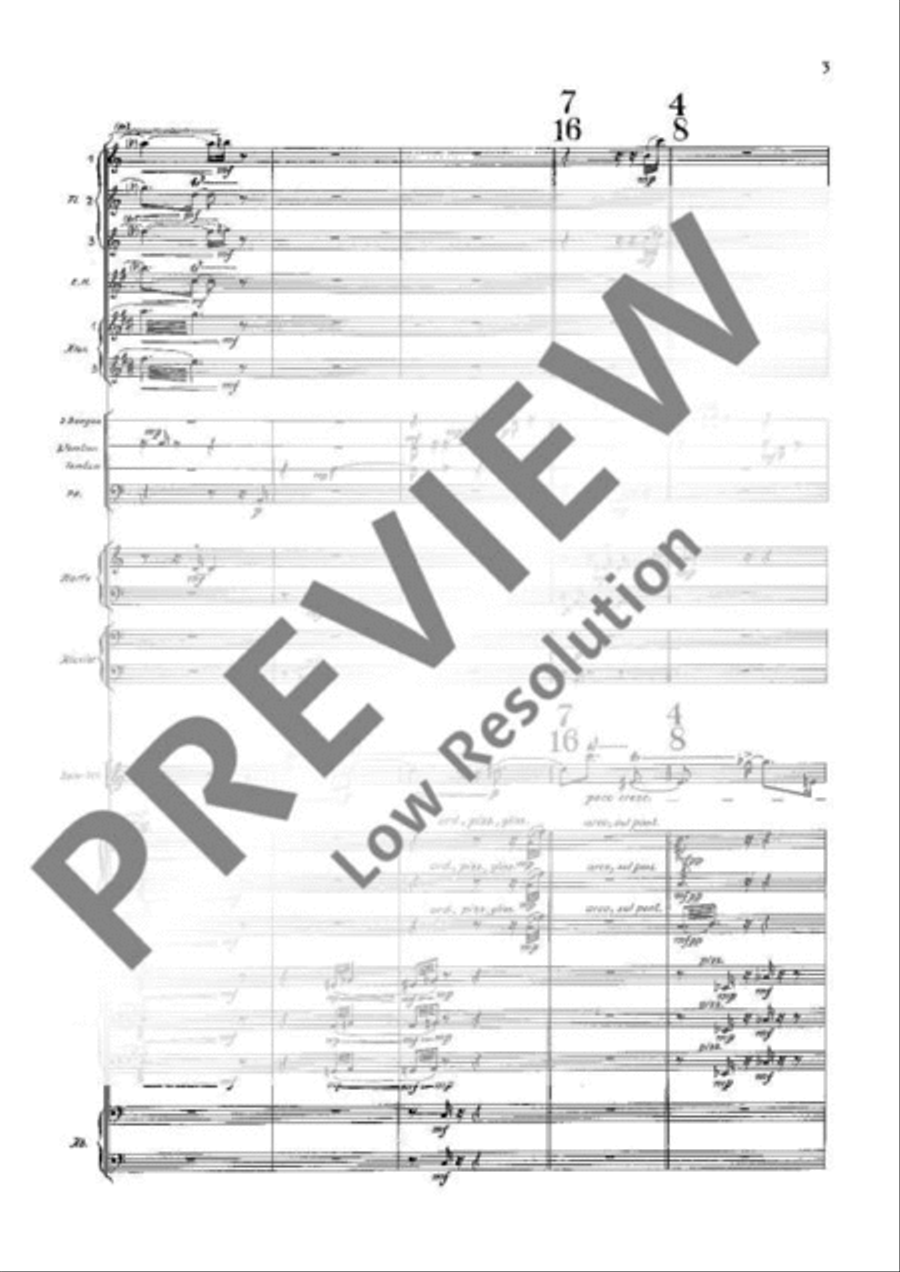 Canto di Speranza Canto di Speranza Chamber Orchestra scores gallery preview page 10