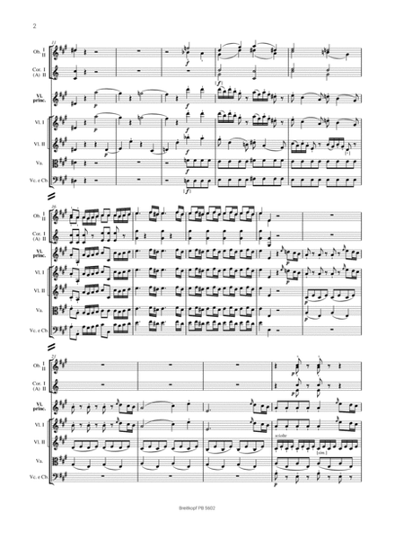 Violin Concerto [No. 5] in A major K. 219