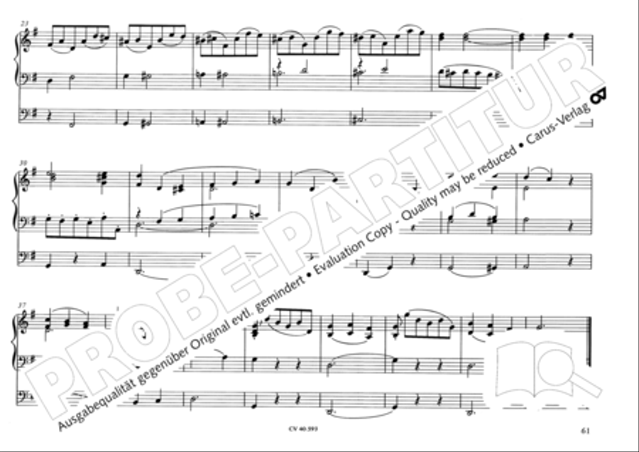 Free Organ Music from the Romantic Period, Vol. I (Freie Orgelmusik der Romantik, Band I) Organ scores gallery preview page 66