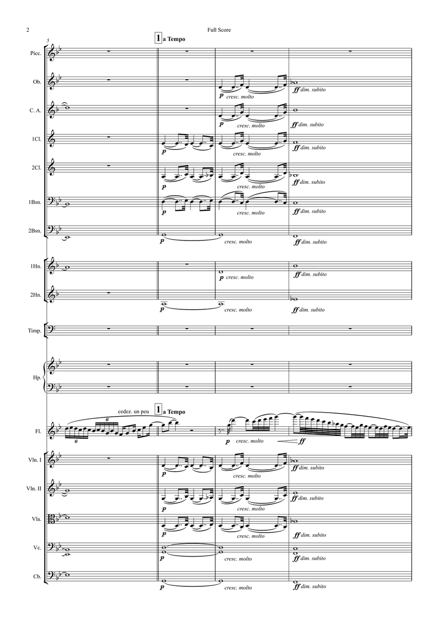 Fantasie for Flute & Symphony Orchestra (arr.) Full Score Chamber Orchestra scores gallery preview page 2