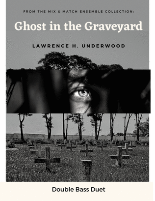 Book cover for Ghost in the Graveyard