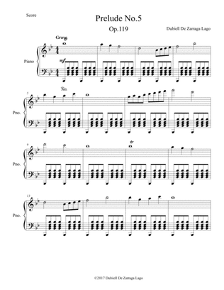 Prelude No.5 Op.119