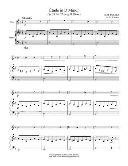 Étude (study) in D Minor Op. 35 No. 22 for flute and easy piano image number null