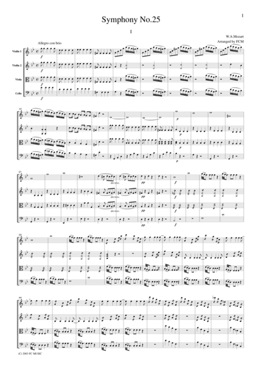 Mozart Symphony No.25, 1st mvt.