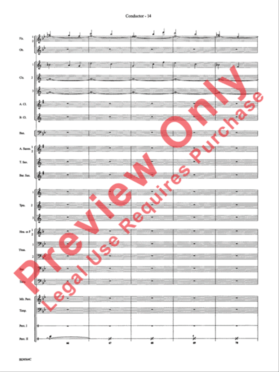 Where the Black Hawk Soars Concert Band scores gallery preview page 17